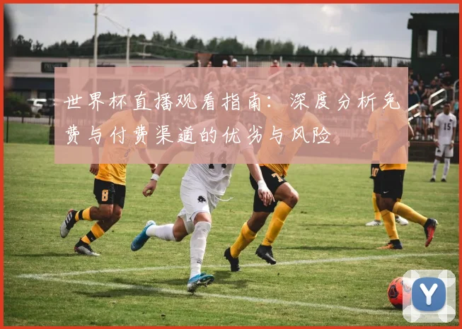 世界杯直播观看指南:深度分析免费与付费渠道的优劣与风险