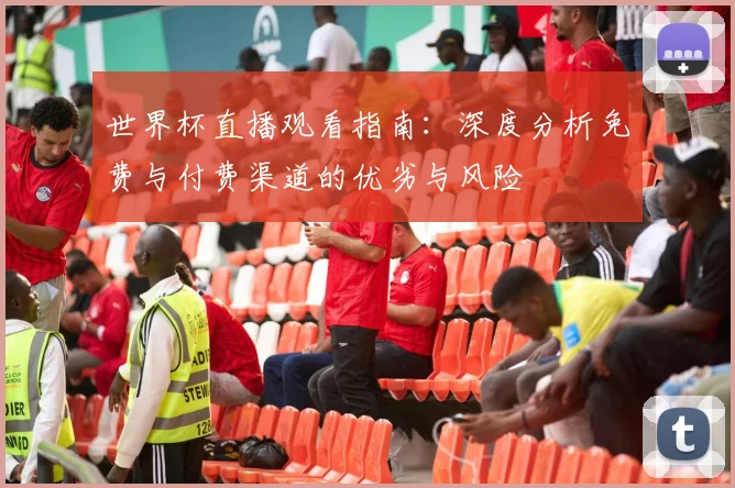 世界杯直播观看指南:深度分析免费与付费渠道的优劣与风险