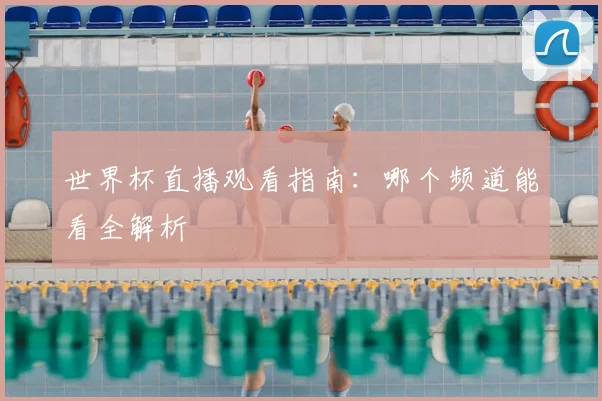 世界杯直播观看指南:哪个频道能看全解析