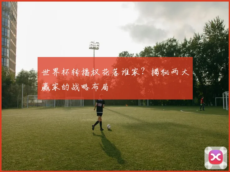 世界杯转播权花落谁家?揭秘两大赢家的战略布局