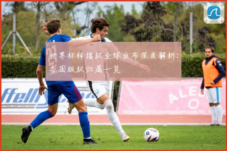 世界杯转播权全球分布深度解析:各国版权归属一览